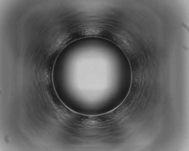 X0000097640743200802291404