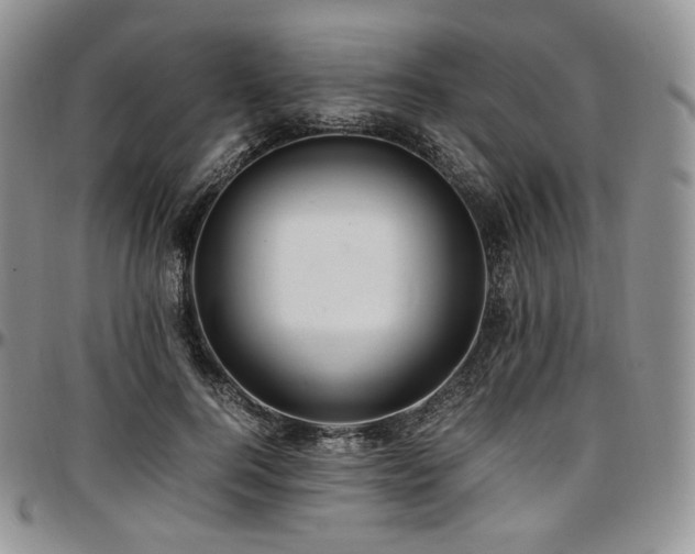 X0000097640744200802291404