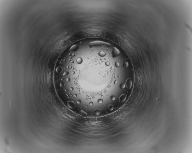X0000097640745200802291404