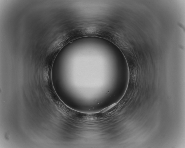 X0000097640746200802291404