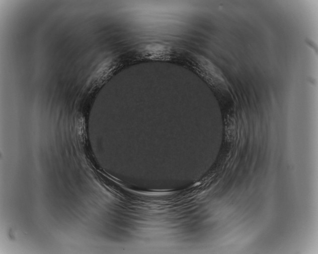 X0000097640748200802291404