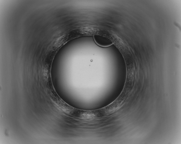 X0000097640749200802291404