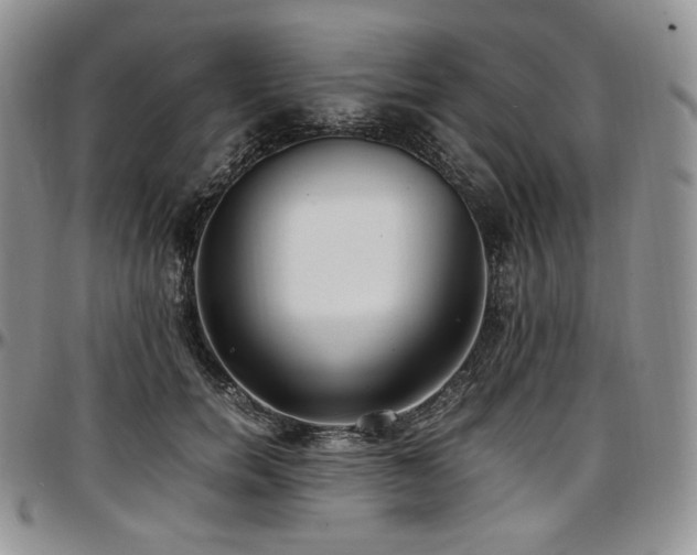 X0000097640750200802291404