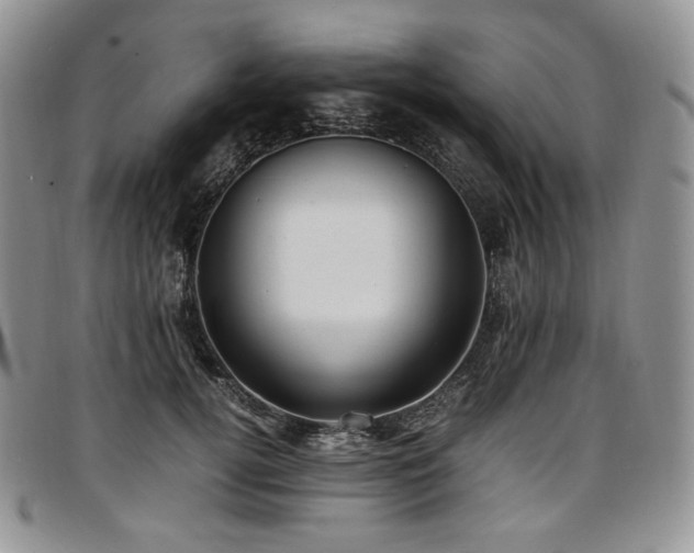 X0000097640752200802291404