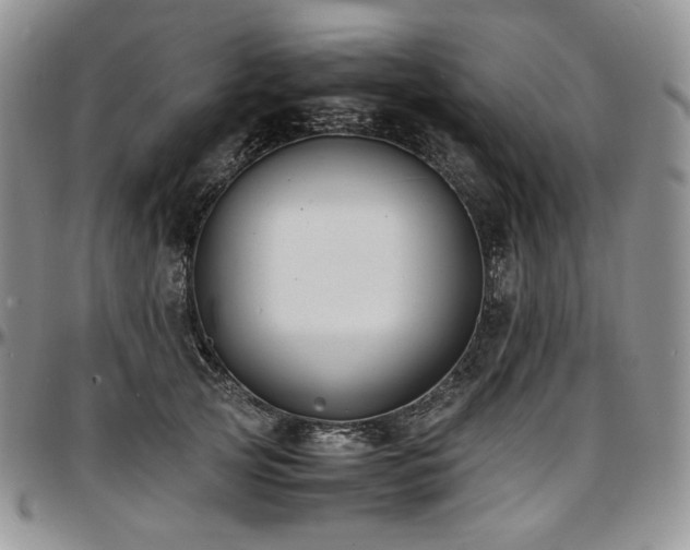 X0000097640753200802291404