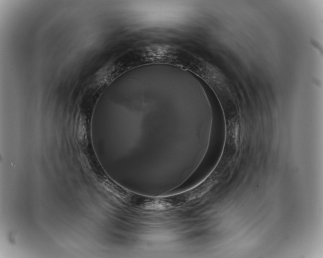 X0000097640754200802291404