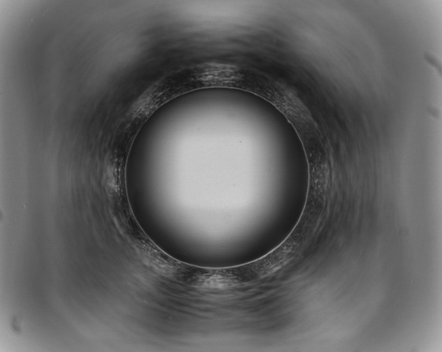 X0000097640755200802291404
