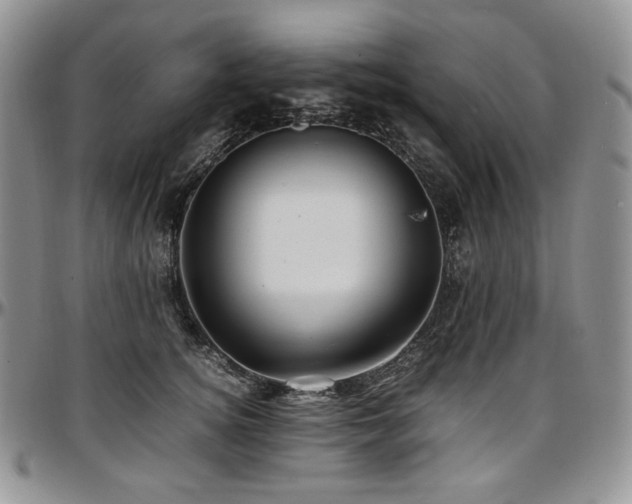 X0000097640756200802291404