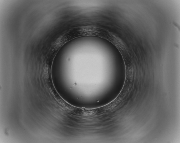 X0000097640757200802291404