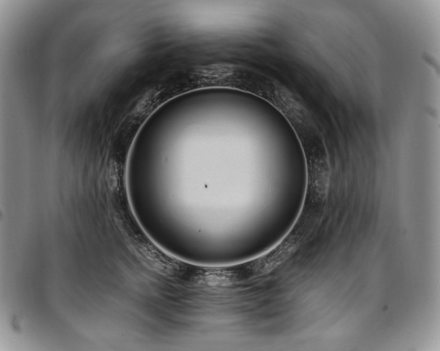 X0000097640758200802291404