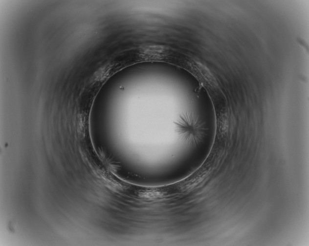 X0000097640759200802291404