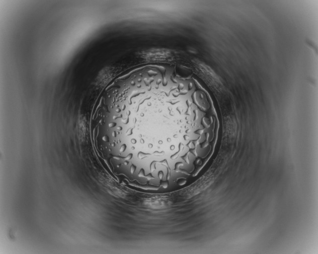 X0000097640761200802291404