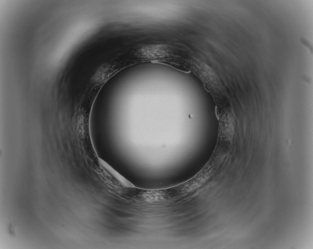 X0000097640762200802291404