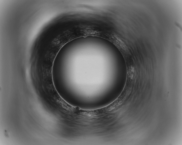 X0000097640763200802291404