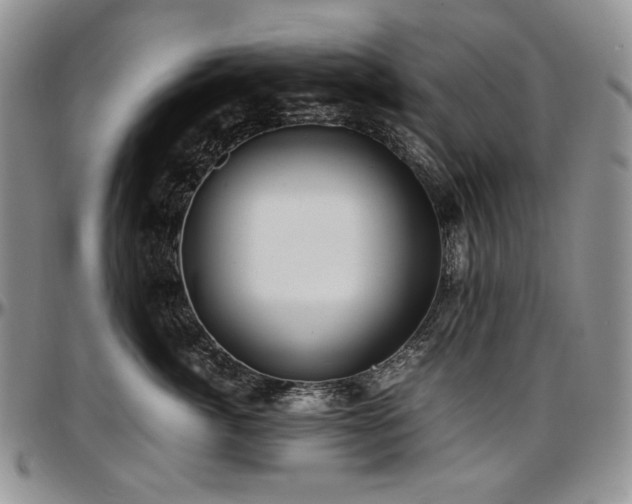 X0000097640764200802291404