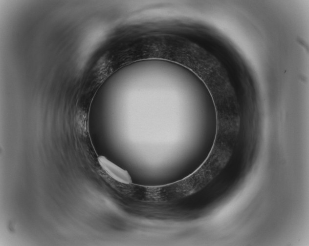 X0000097640766200802291404
