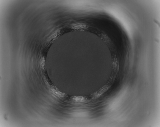 X0000097640767200802291404