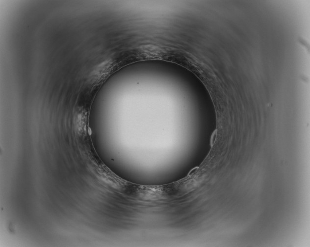 X0000097640768200802291404