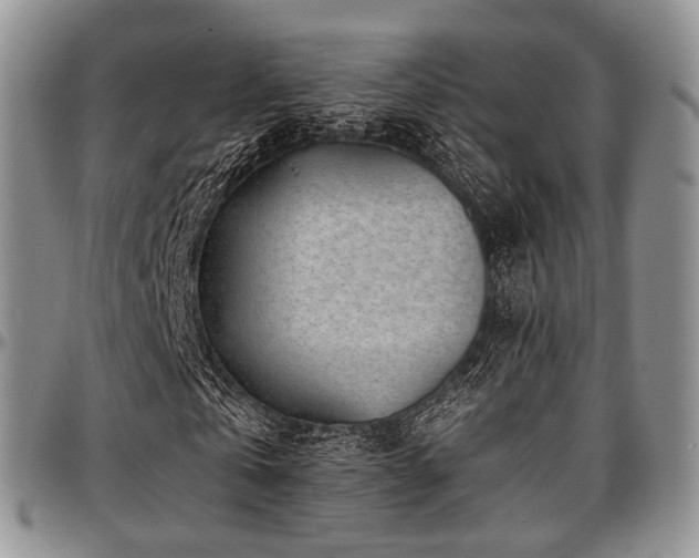 X0000097640769200802291404