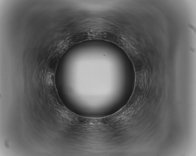 X0000097640770200802291404