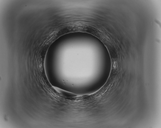 X0000097640771200802291404