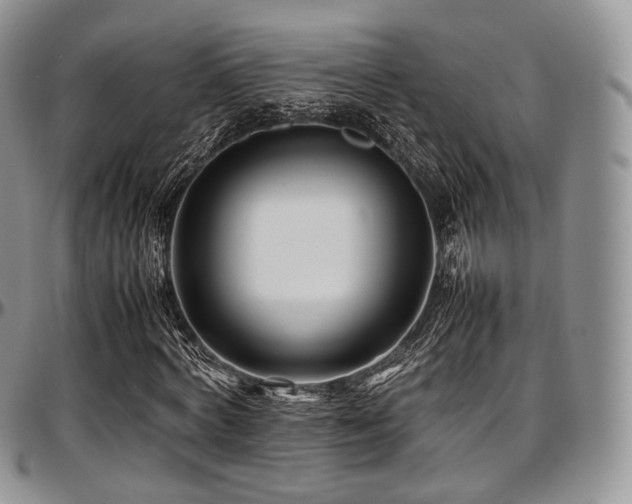 X0000097640772200802291404