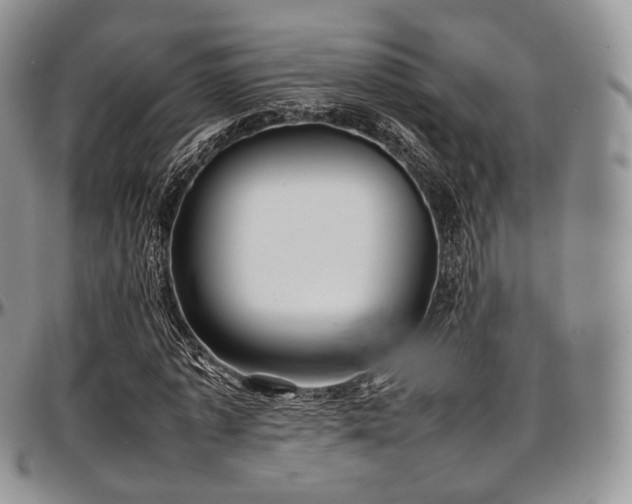 X0000097640773200802291404