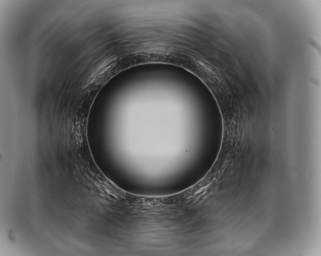 X0000097640774200802291404