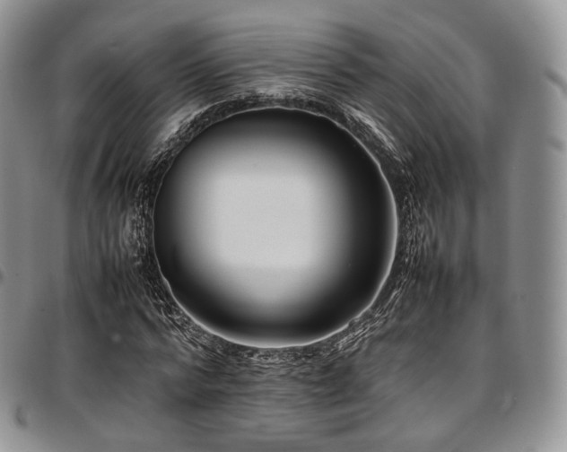 X0000097640776200802291404