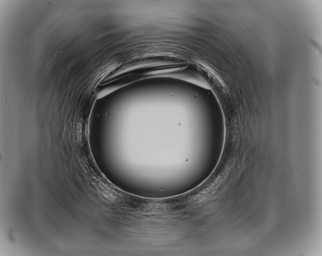 X0000097640777200802291404