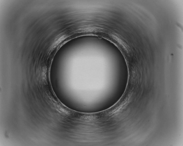 X0000097640778200802291404