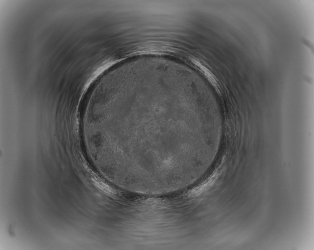 X0000097640779200802291404