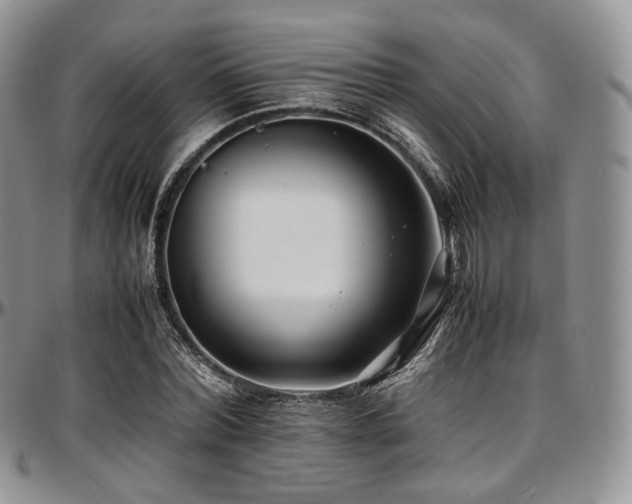 X0000097640780200802291404