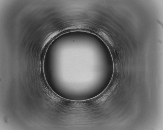 X0000097640781200802291404