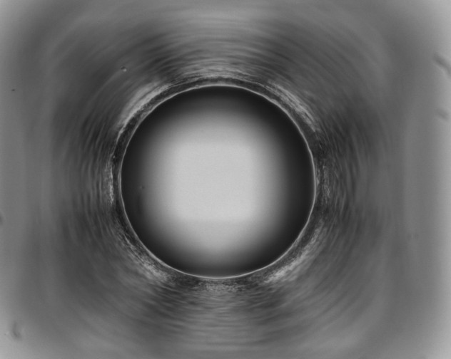 X0000097640782200802291404