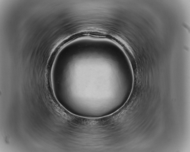 X0000097640783200802291403