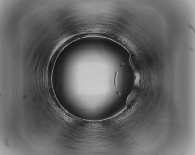 X0000097640784200802291403