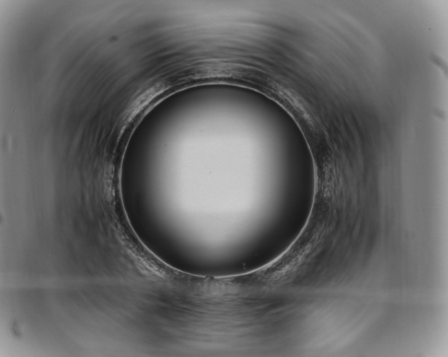 X0000097640786200802291403