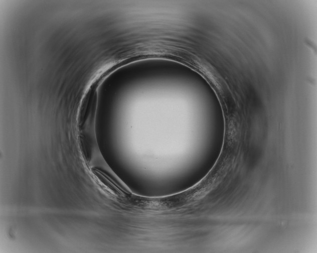 X0000097640787200802291403
