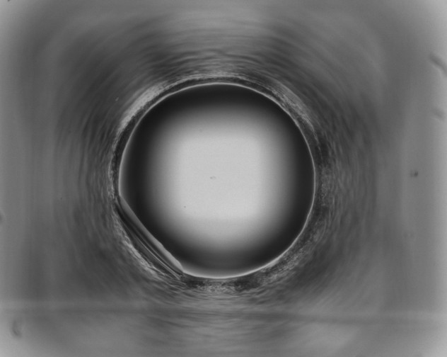 X0000097640789200802291403