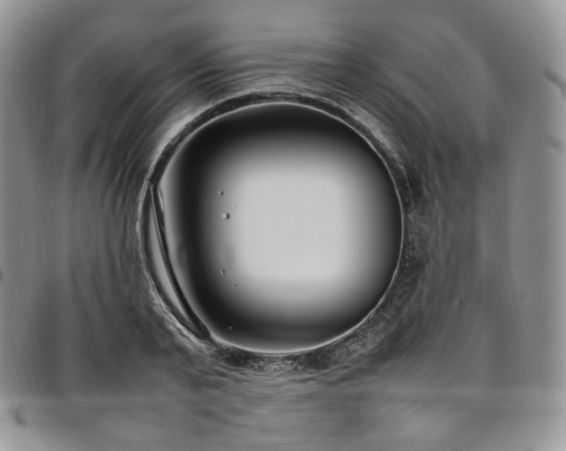 X0000097640791200802291403
