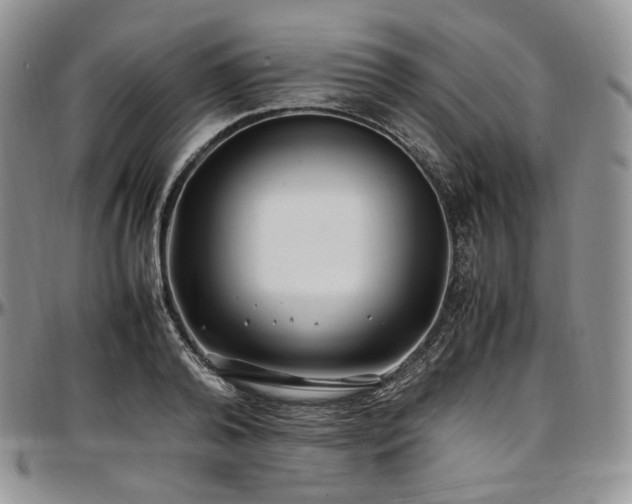 X0000097640792200802291403