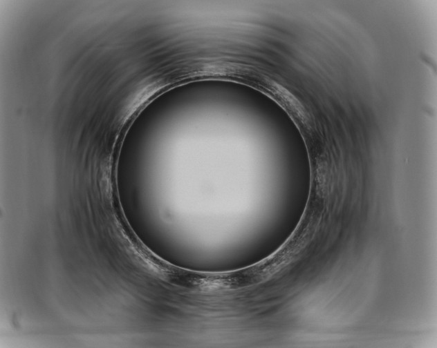 X0000097640794200802291403