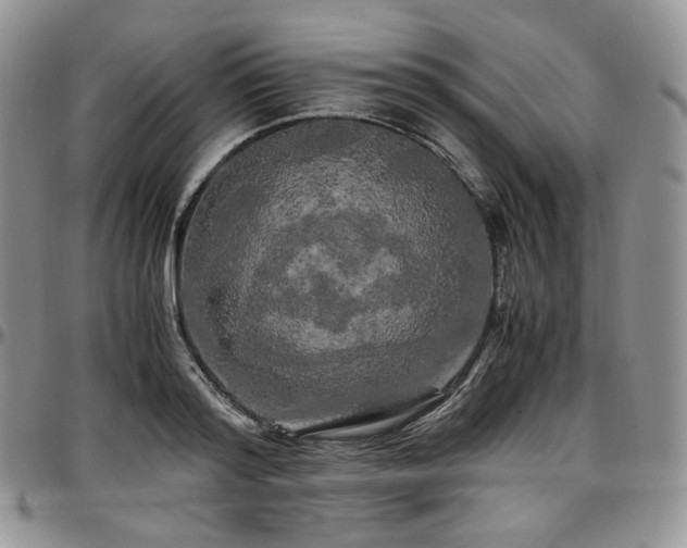 X0000097640796200802291403