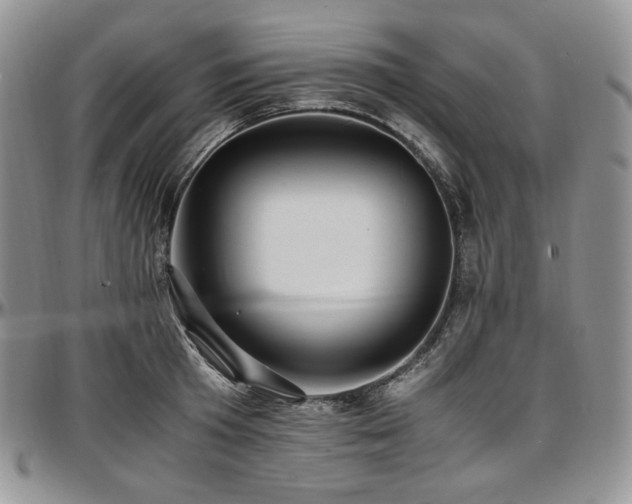 X0000097640801200802291403