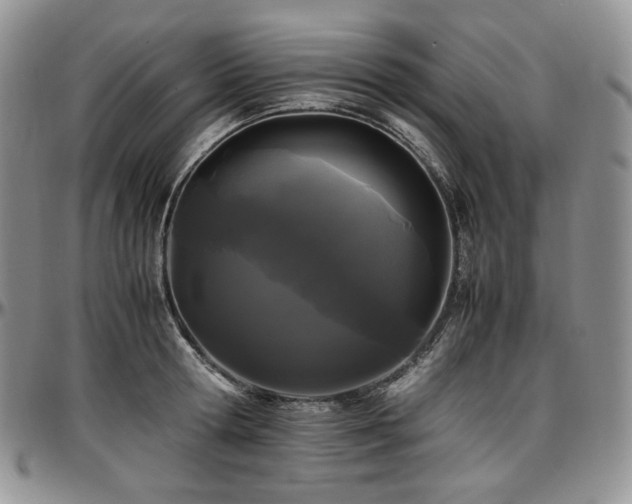 X0000097640802200802291403