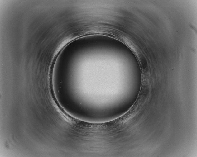 X0000097640803200802291403