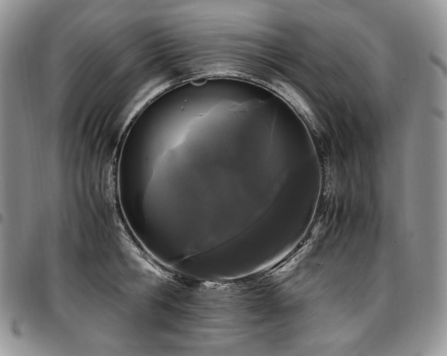 X0000097640806200802291403