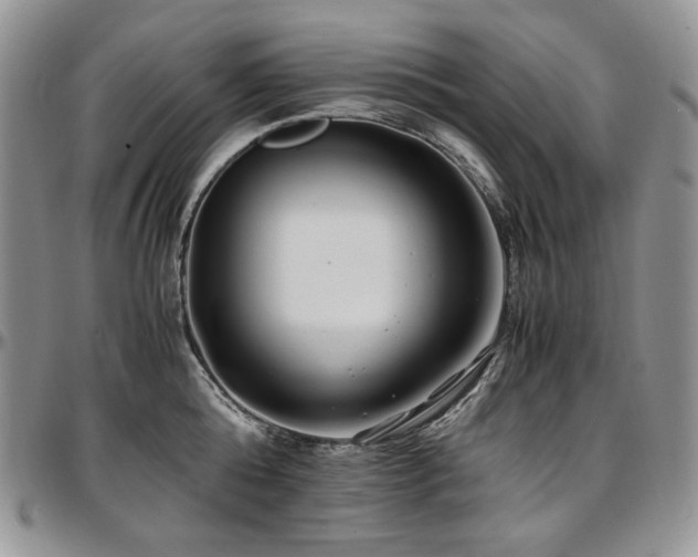 X0000097640808200802291403