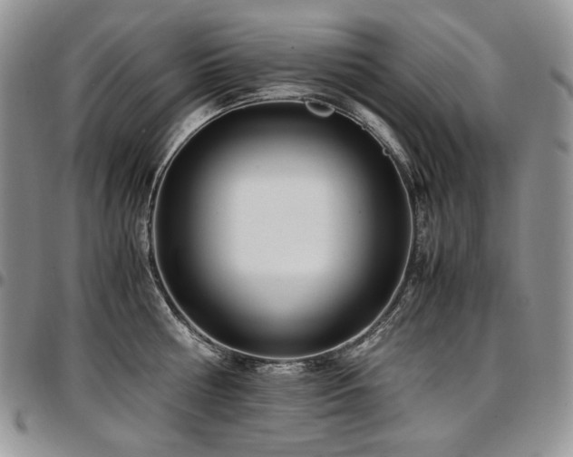 X0000097640810200802291403